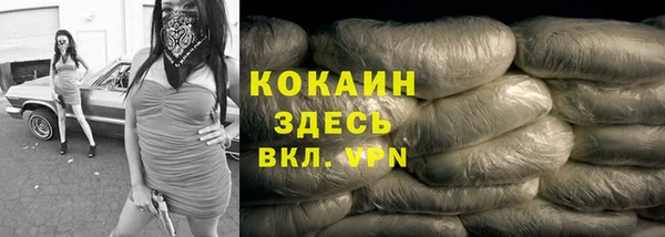 прущие грибы Баксан