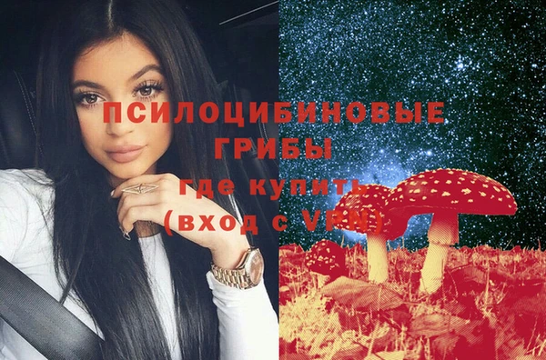 прущие грибы Армянск