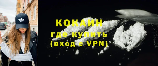сатива Арсеньев