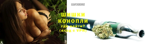 прущие грибы Баксан