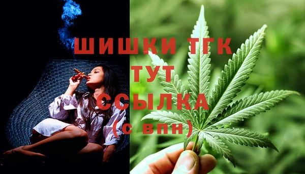 прущие грибы Армянск