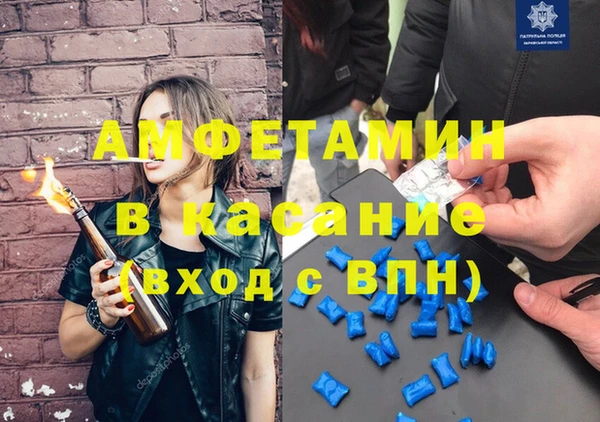 прущие грибы Баксан