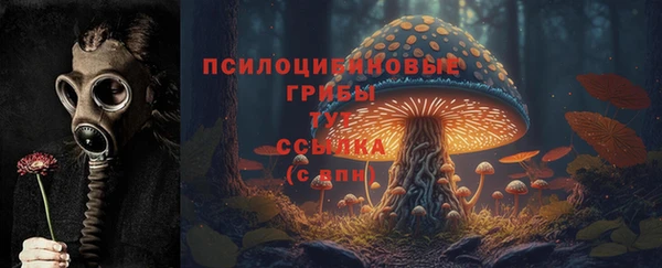 ALPHA PVP Аркадак