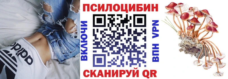 наркотики  Острогожск  Псилоцибиновые грибы Cubensis 